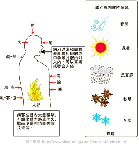 六邪|醫砭 » 中醫病因病機學 » 六淫